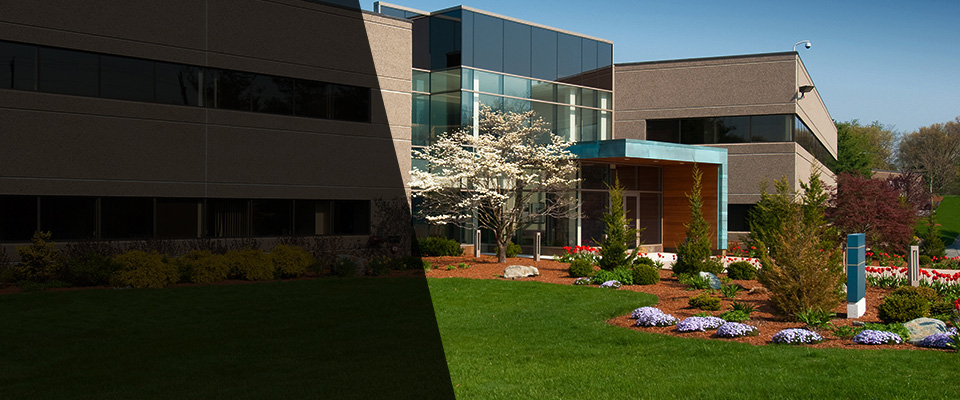 Haymarket Landscapers