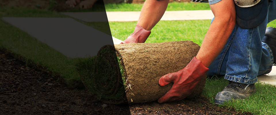 Haymarket Landscapers